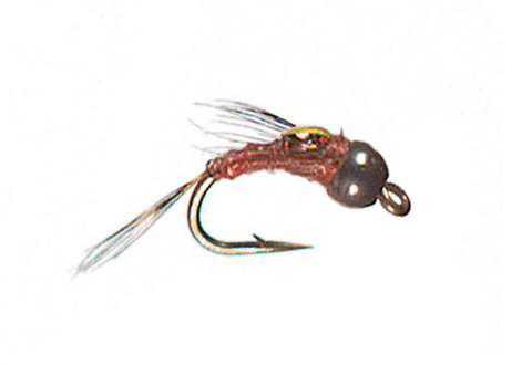 lickety split trout nymph lickety split trout nymph